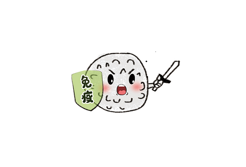 身为首席营养素的蛋白质有多重要2.png