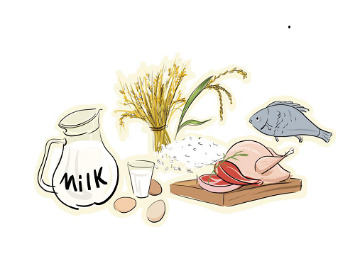 优质蛋白究竟“优”在哪儿4.png