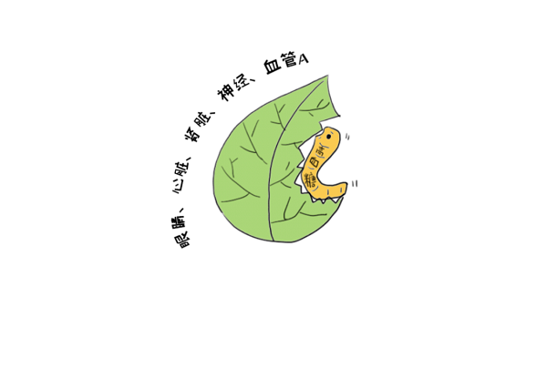糖尿病的“难兄难弟”——糖心病.png