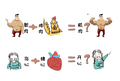 优质蛋白究竟“优”在哪儿1.png
